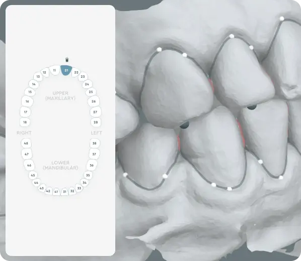 High-resolution 3D dental model with segmented anatomical structures