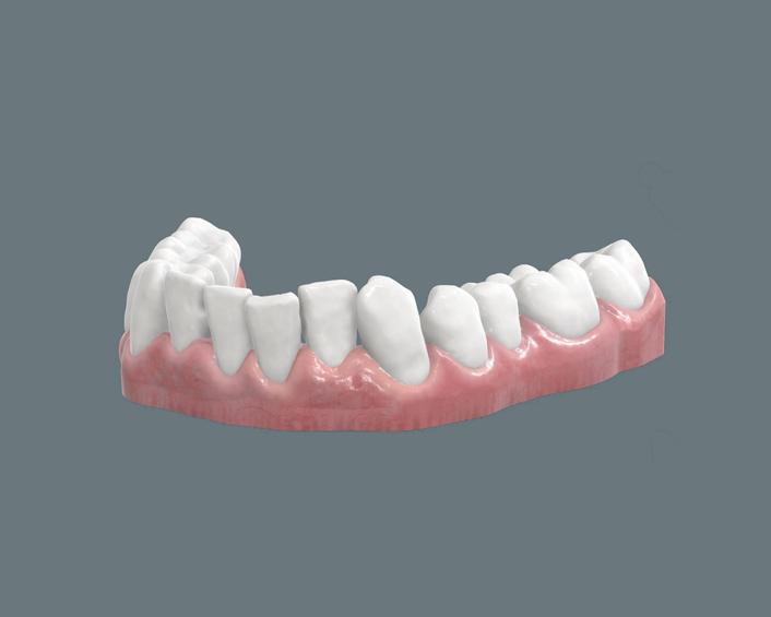 High-resolution 3D dental model with segmented anatomical structures